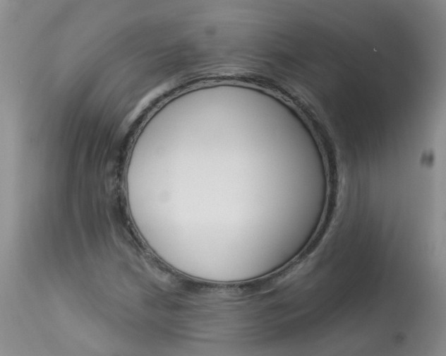 X0000113941210200909250931