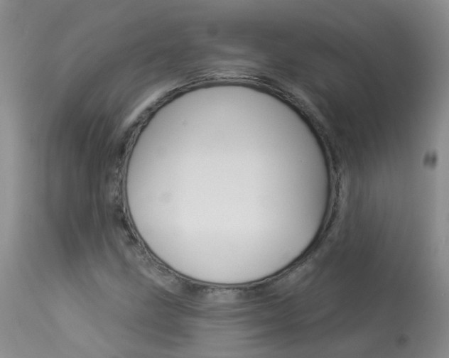 X0000113941211200909250931
