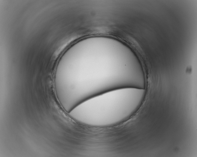 X0000113941212200909250931