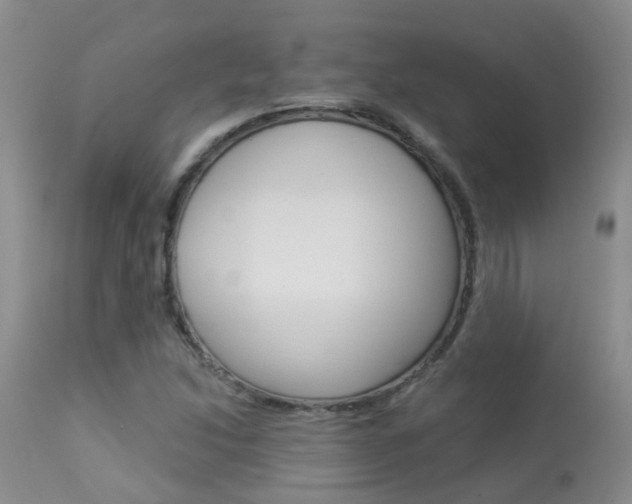 X0000113941214200909250931
