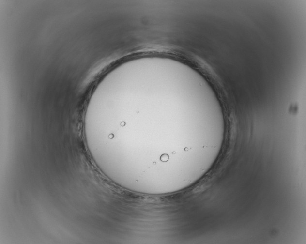 X0000113941215200909250931