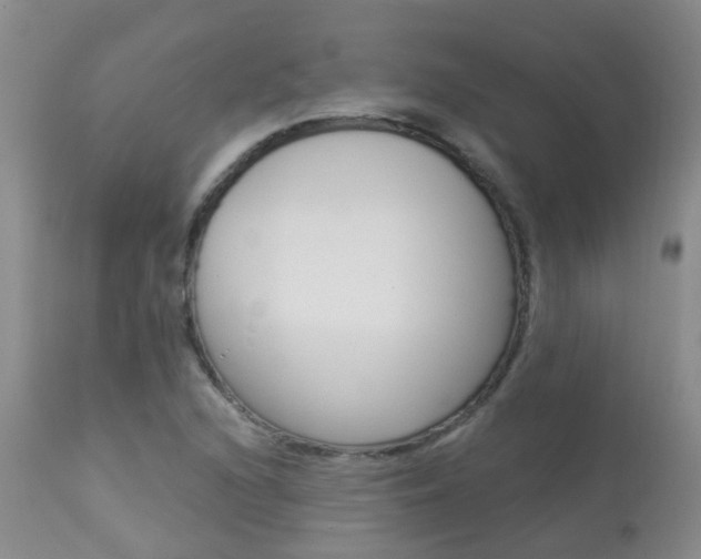 X0000113941216200909250931