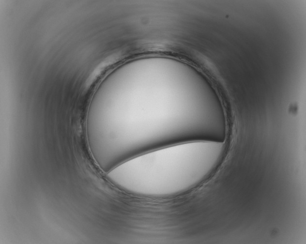 X0000113941218200909250931