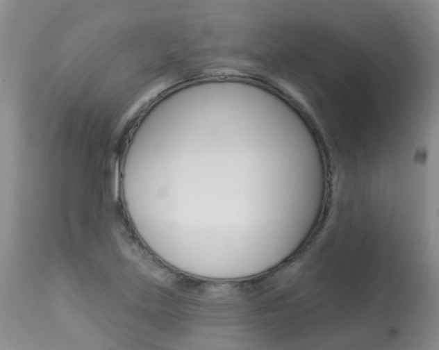 X0000113941219200909250931
