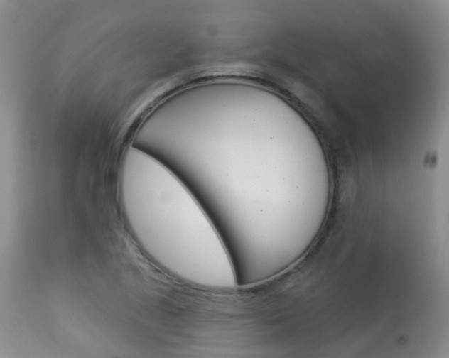 X0000113941221200909250932