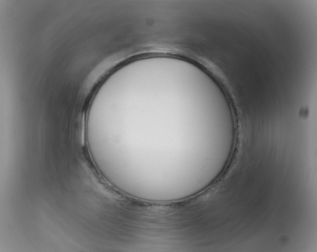 X0000113941223200909250932