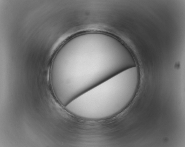 X0000113941224200909250932