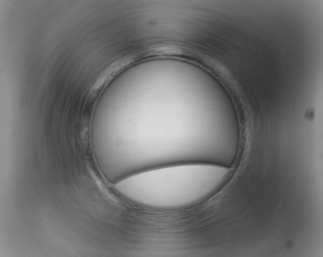 X0000113941225200909250932