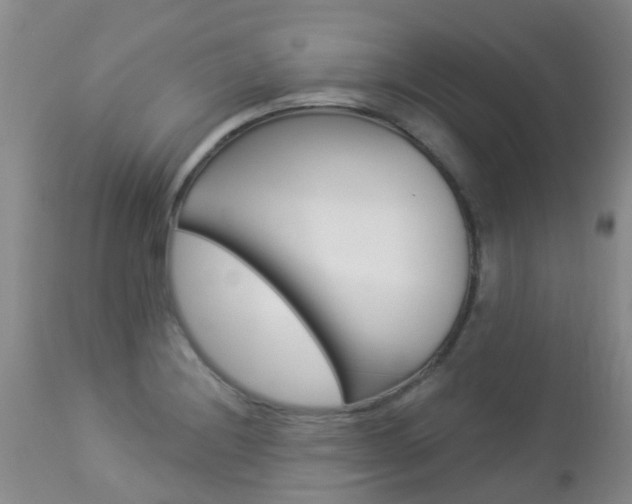 X0000113941228200909250932