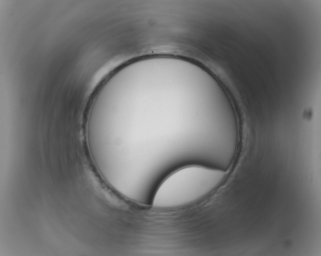 X0000113941230200909250932