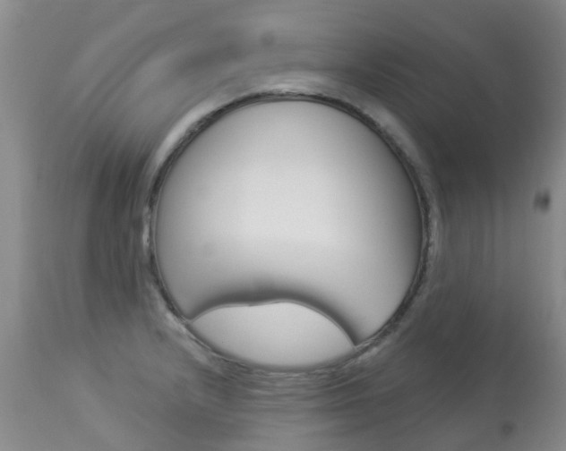 X0000113941232200909250932