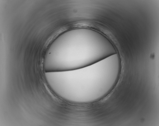 X0000113941233200909250932