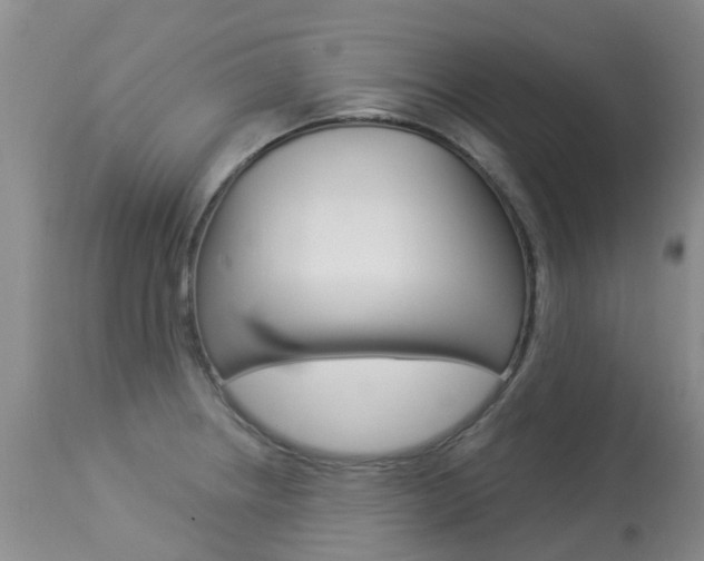 X0000113941234200909250932