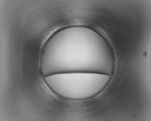 X0000113941236200909250932
