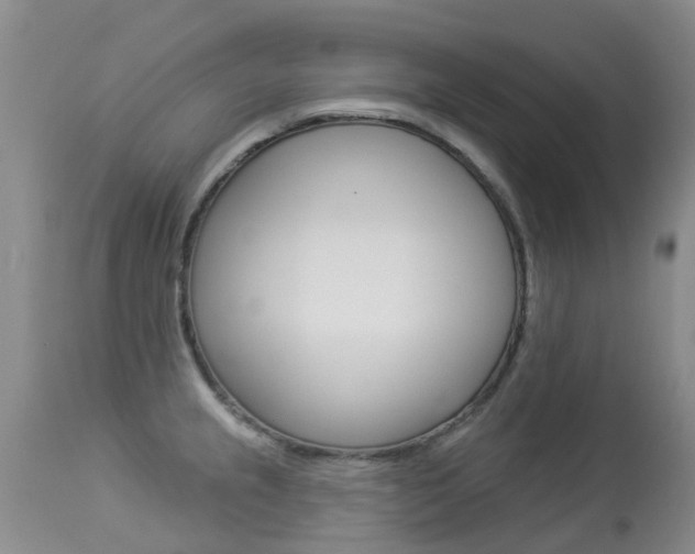 X0000113941237200909250932