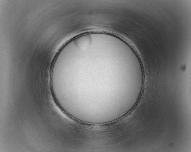 X0000113941239200909250932
