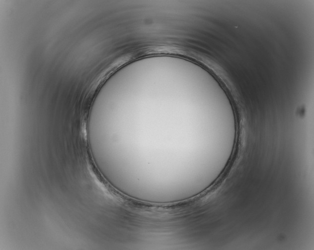 X0000113941241200909250932