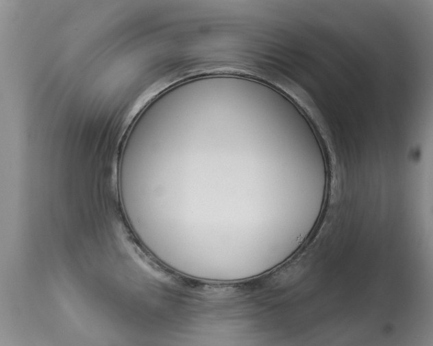 X0000113941242200909250932