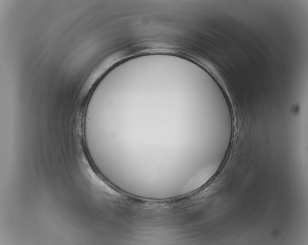 X0000113941243200909250932
