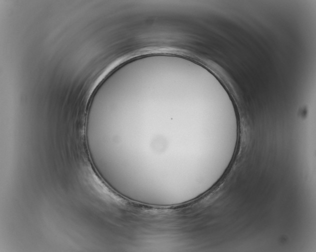 X0000113941244200909250932