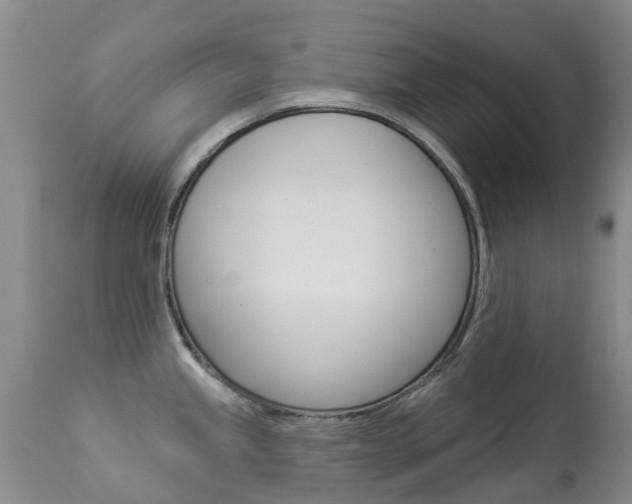 X0000113941245200909250932