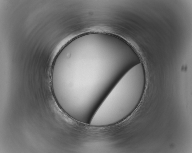 X0000113941248200909250932