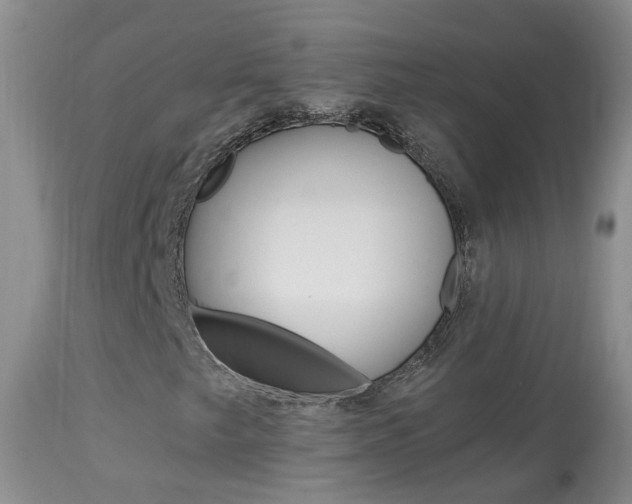X0000113941249200909250931