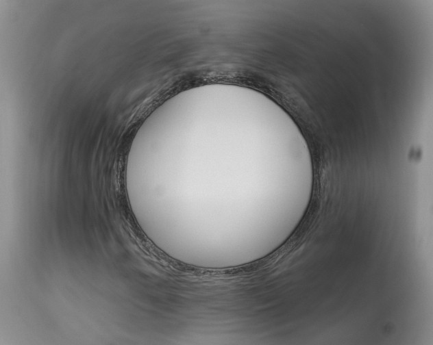 X0000113941250200909250931