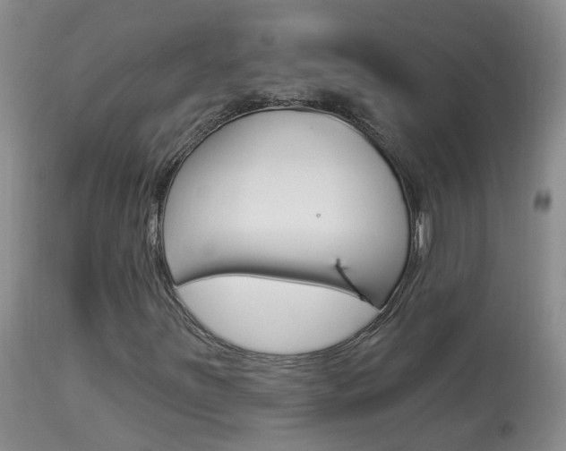 X0000113941251200909250931