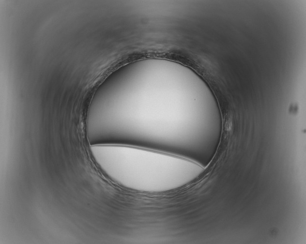 X0000113941252200909250931