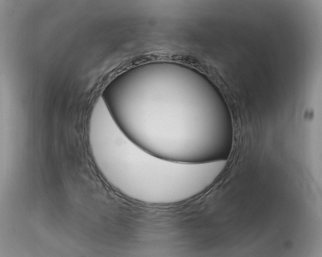 X0000113941253200909250931