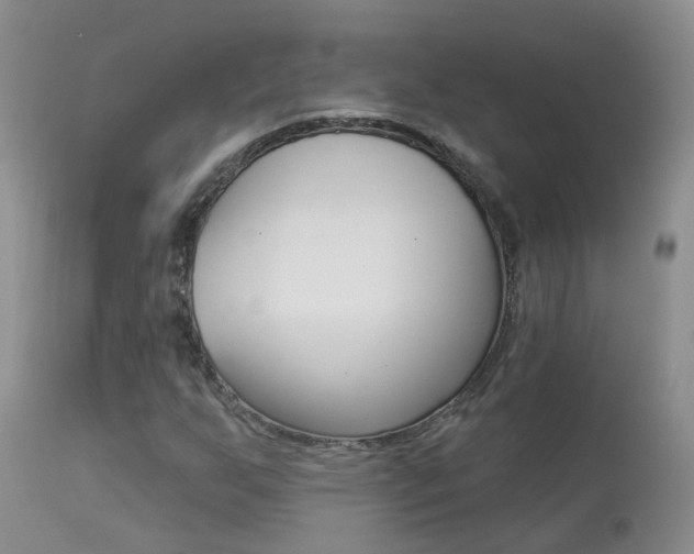 X0000113941255200909250931
