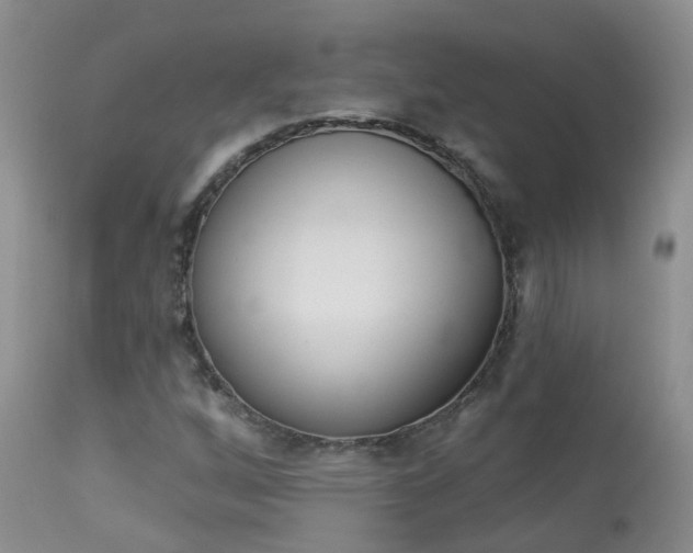 X0000113941256200909250931