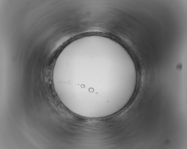 X0000113941258200909250931