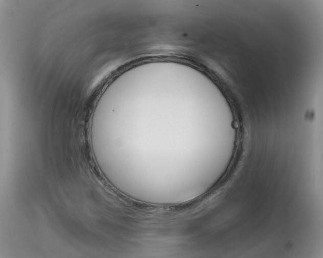 X0000113941259200909250931