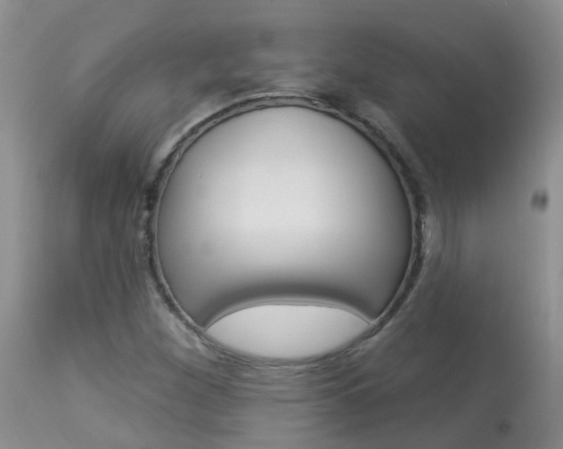 X0000113941260200909250931