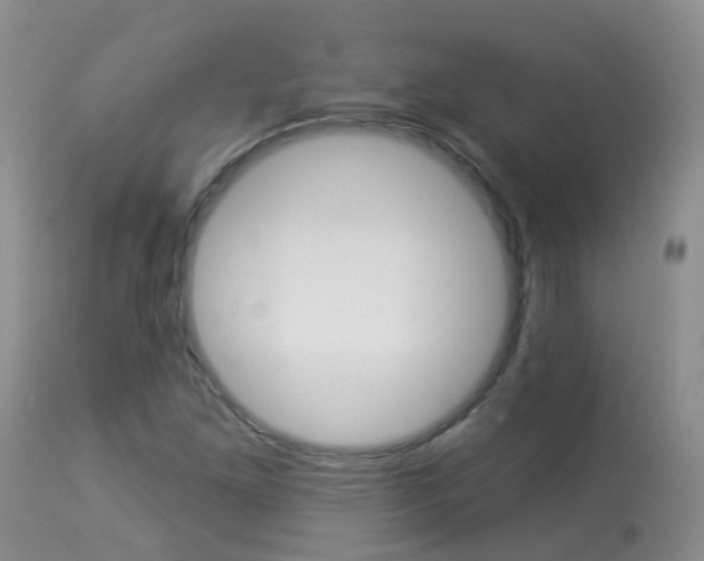 X0000113941261200909250931