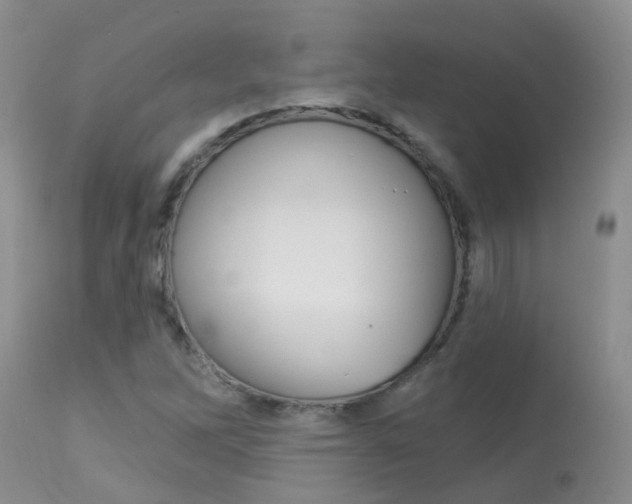 X0000113941262200909250931
