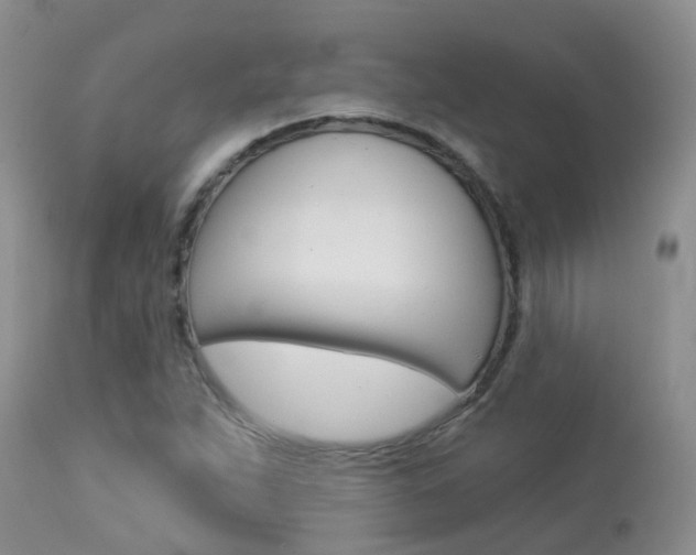 X0000113941263200909250931