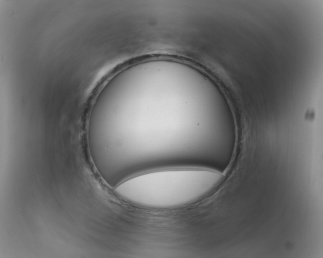 X0000113941264200909250931