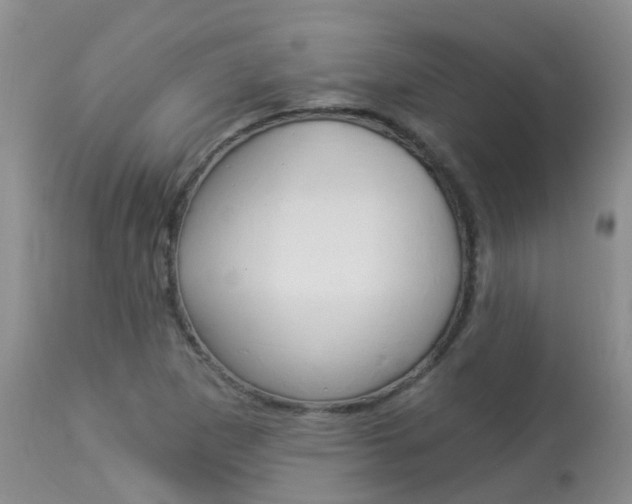 X0000113941265200909250931