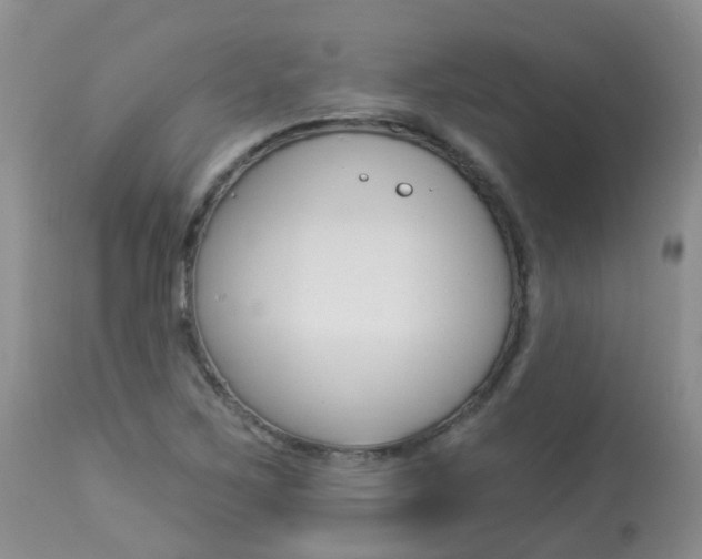 X0000113941267200909250931