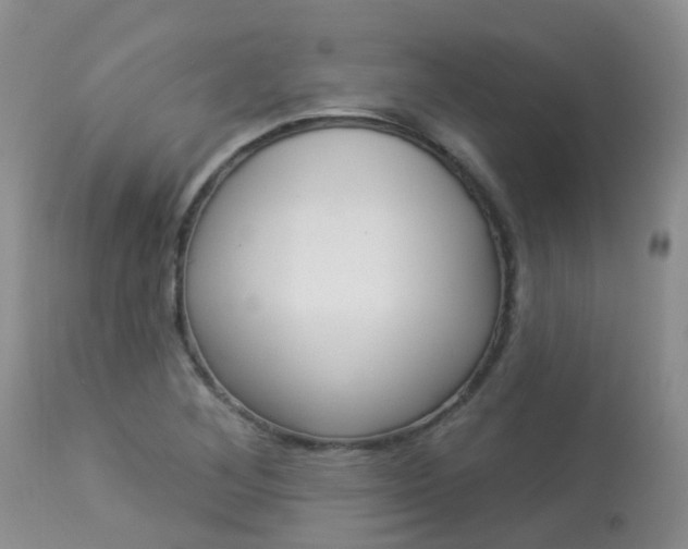 X0000113941268200909250931