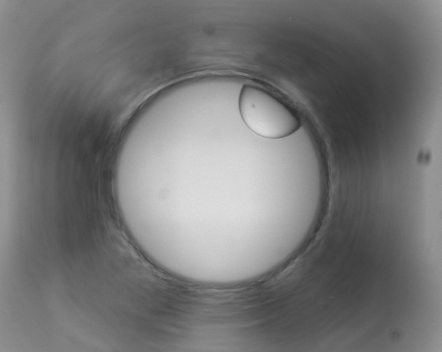 X0000113941269200909250931
