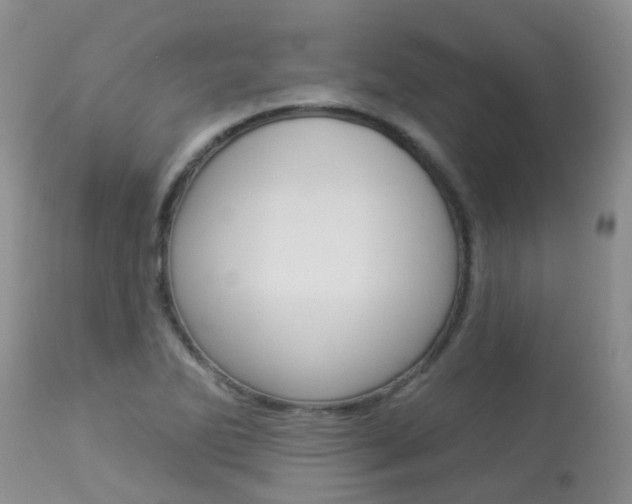 X0000113941270200909250931
