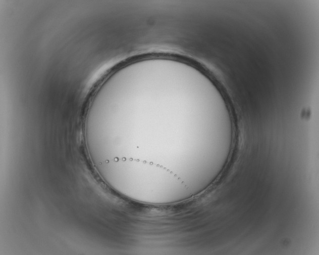 X0000113941271200909250931