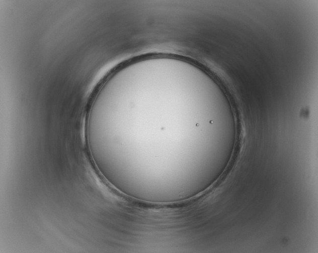 X0000113941272200909250931