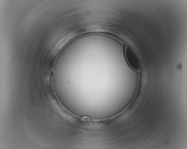 X0000113941273200909250931