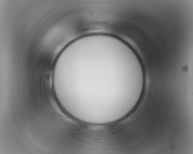 X0000113941274200909250931