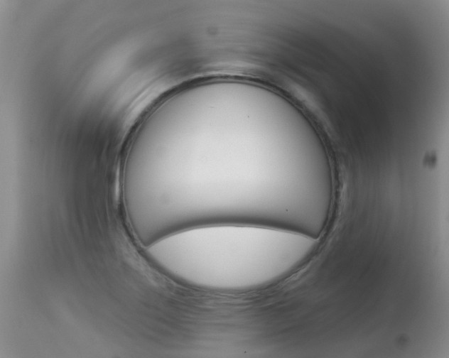 X0000113941275200909250931